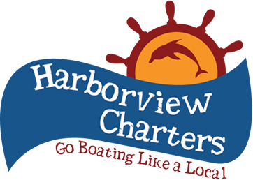Harborview Charters